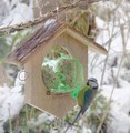 Apple House Feeder with Platform (Oak)